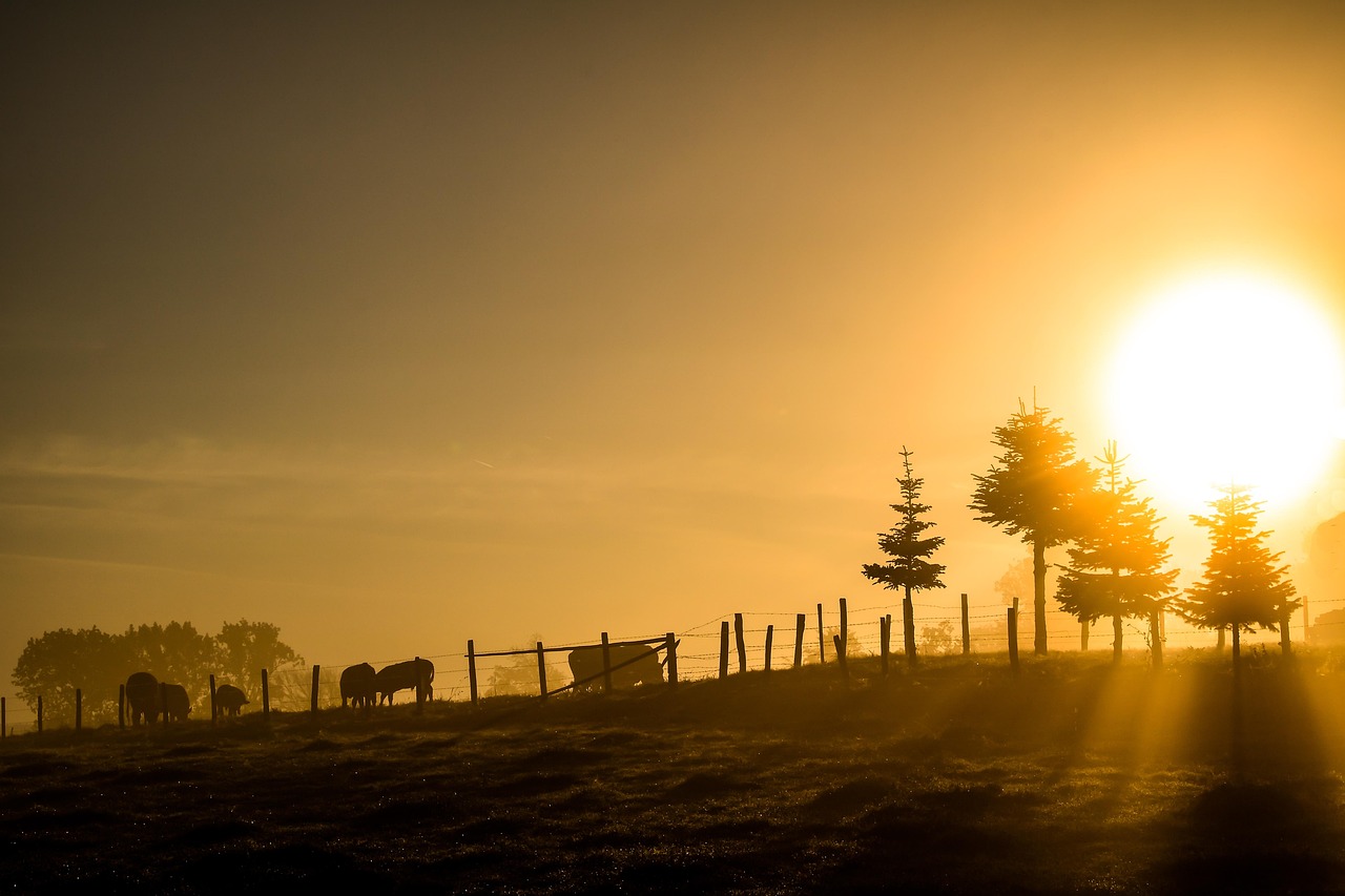 How Do You Say Good Morning in Spanish? A Complete Guide