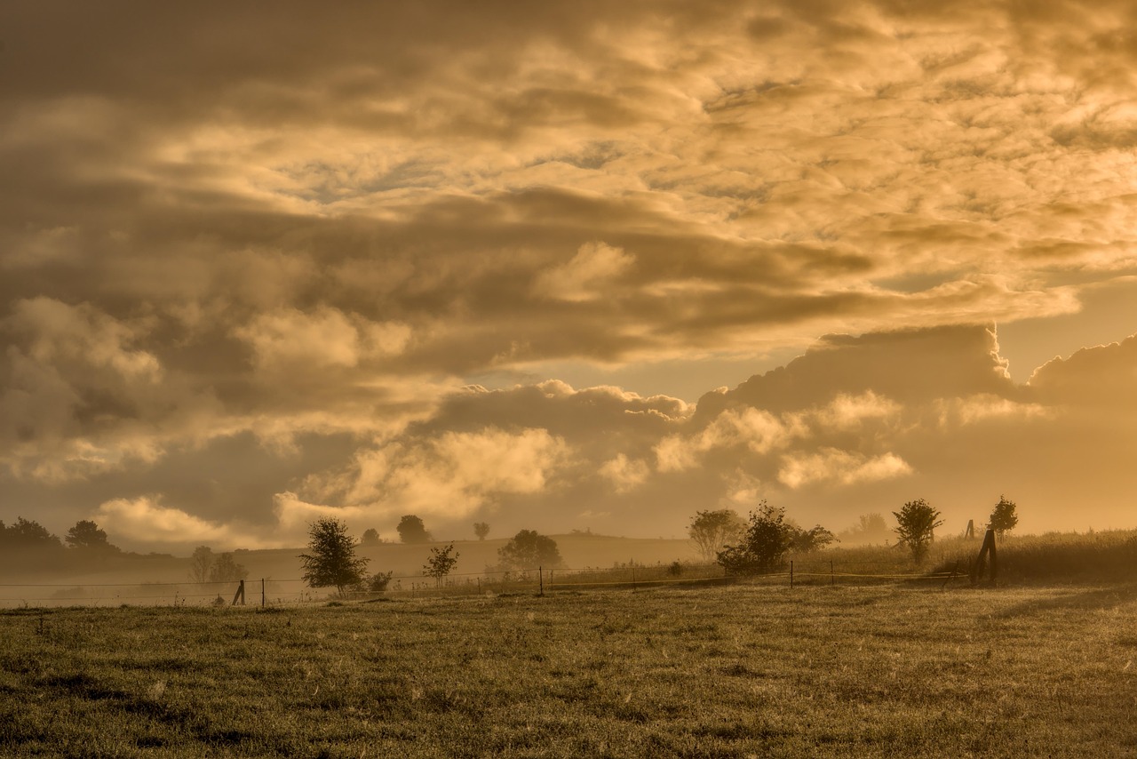 Start Your Day Right: The Benefits of Good Morning with Song