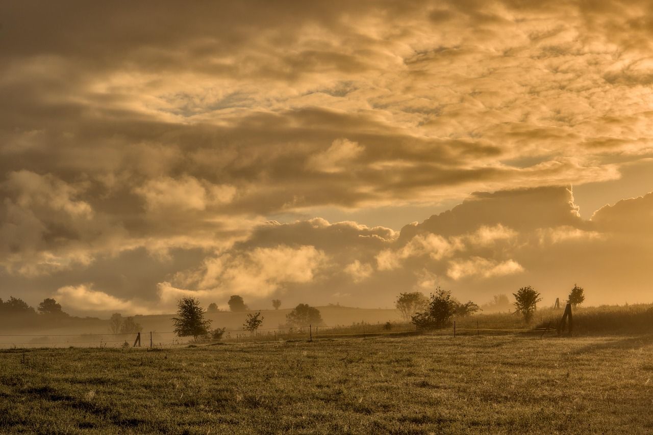 The Meaning of Good Morning Sunshine: A Bright Start to Your Day