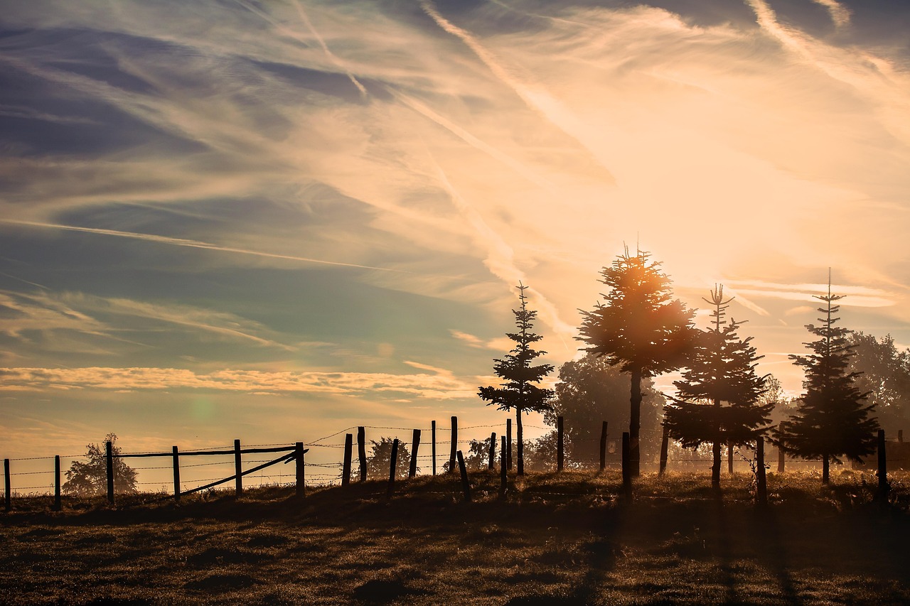 Discover the Joy of the Good Morning Song in Spanish