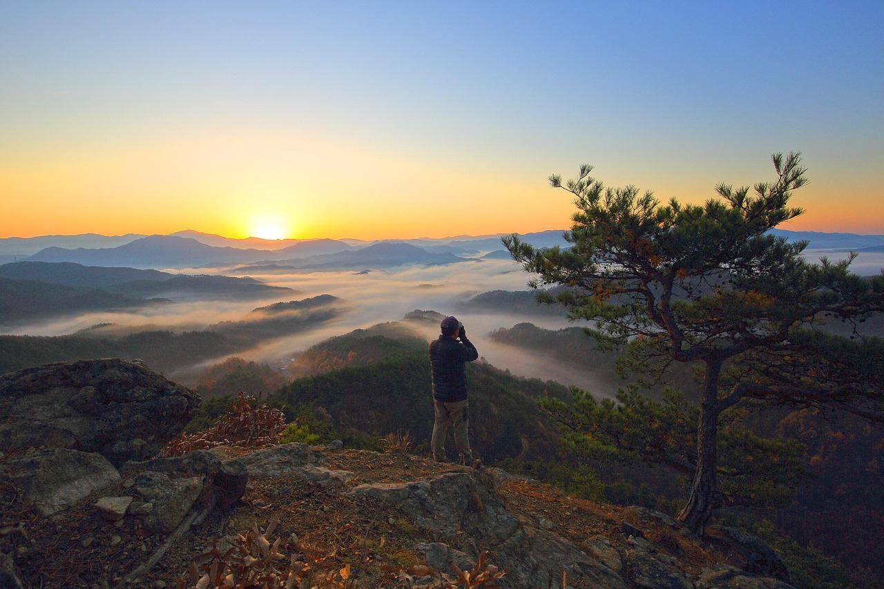 Experience the Magic of Good Night Korea - Your Ultimate Guide