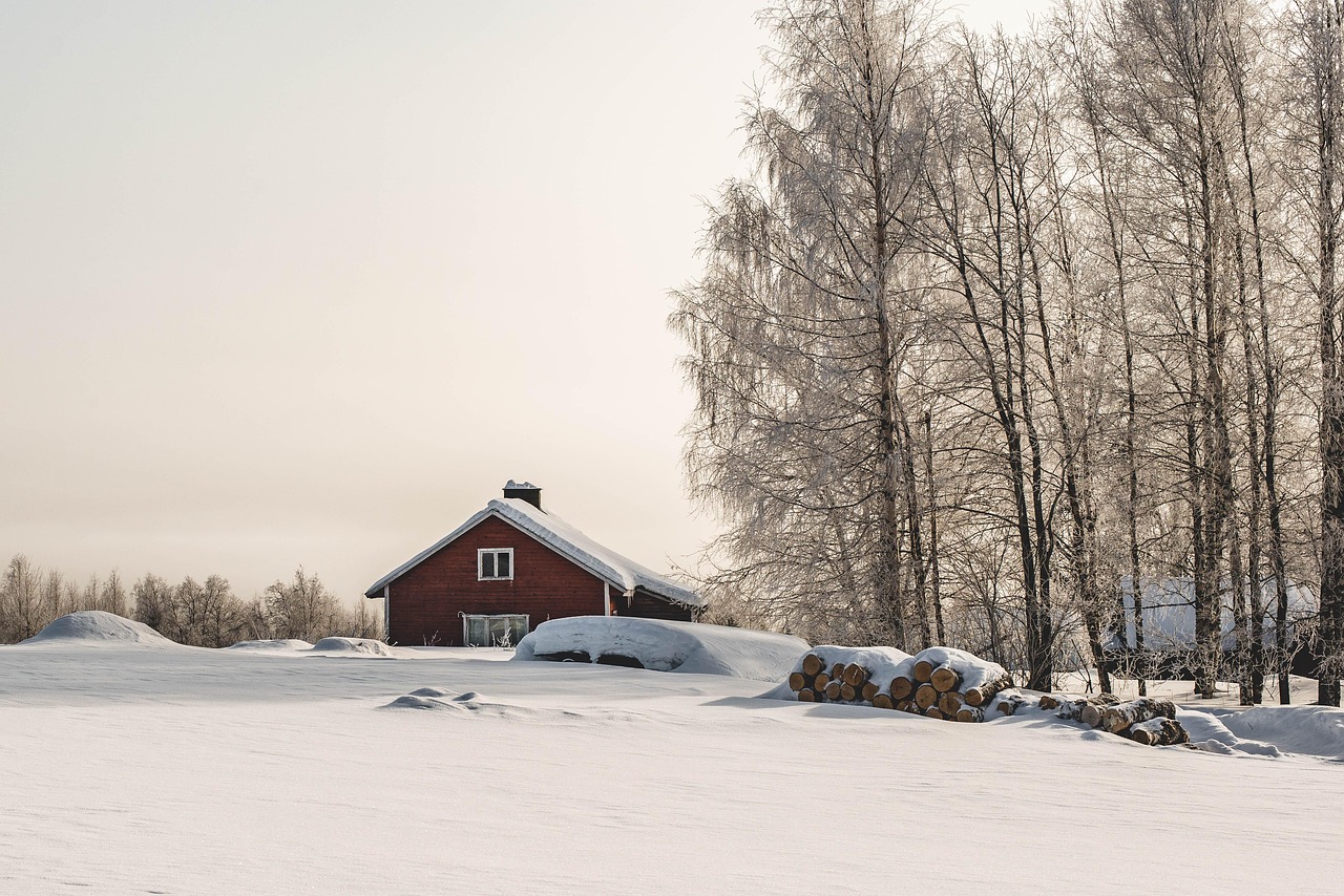 Experience a Good Night in Finland: Tips and Insights