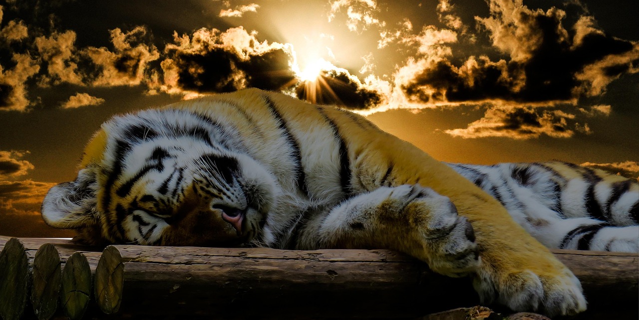 Explore Captivating Images Good Night Images for Peaceful Sleep