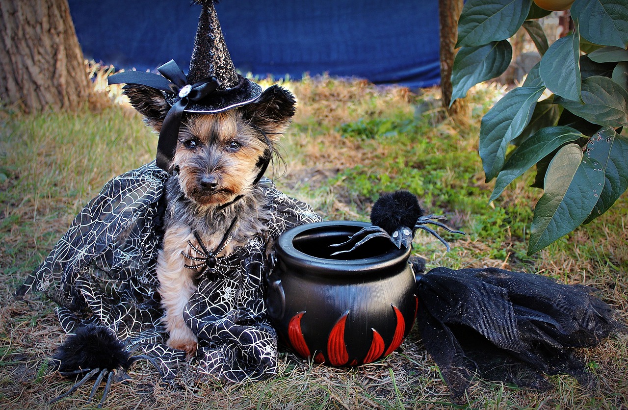 Top Large Dog Halloween Costumes for Spooky Season Fun!