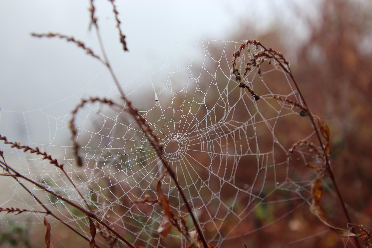 Scary Halloween Costume Ideas: Unleash Your Inner Fright This Halloween