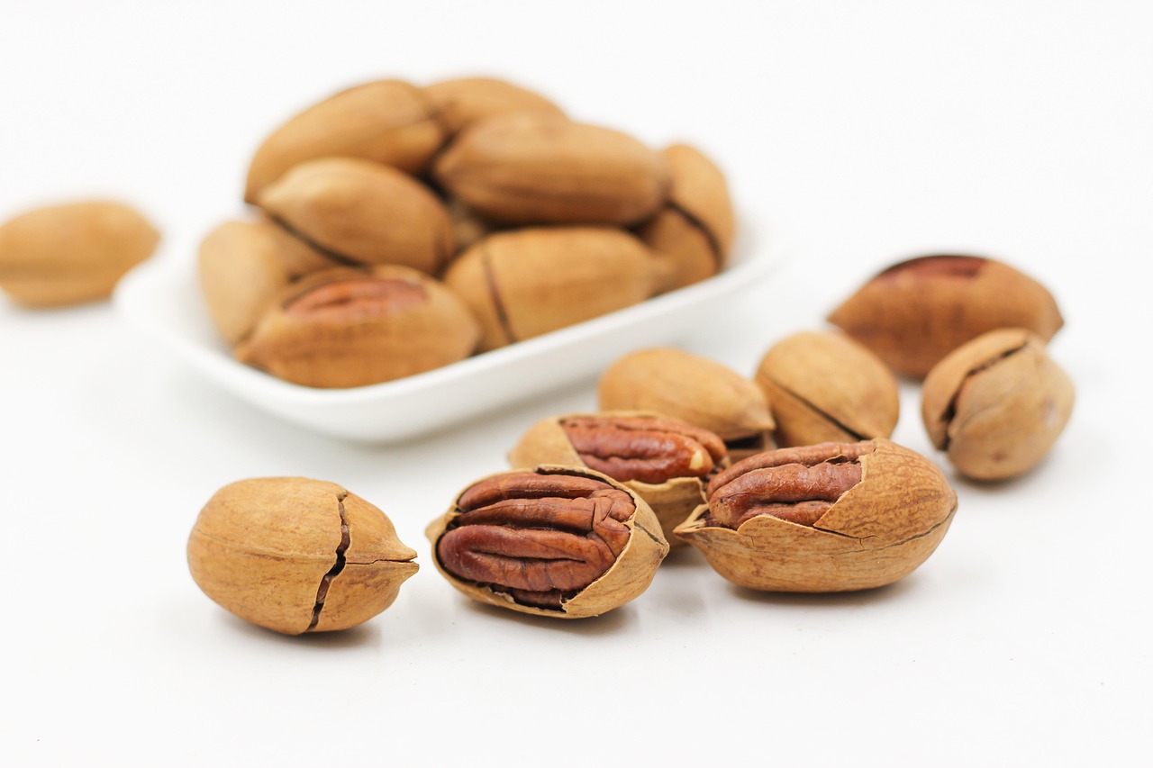 High Protein Snack Foods: Top Choices for Health and Energy