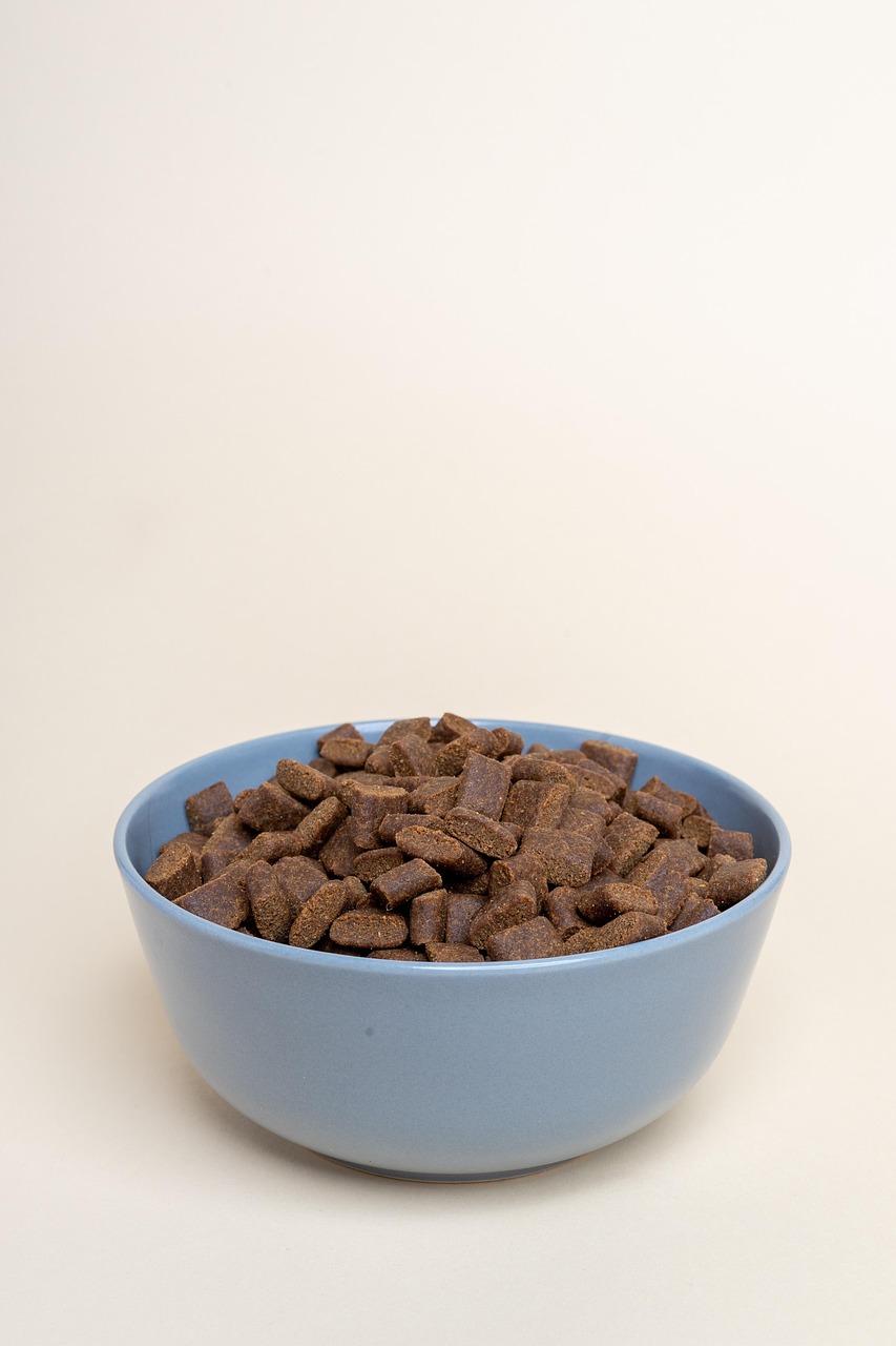 High Protein Dry Dog Food: The Best Choice for Your Dog's Health