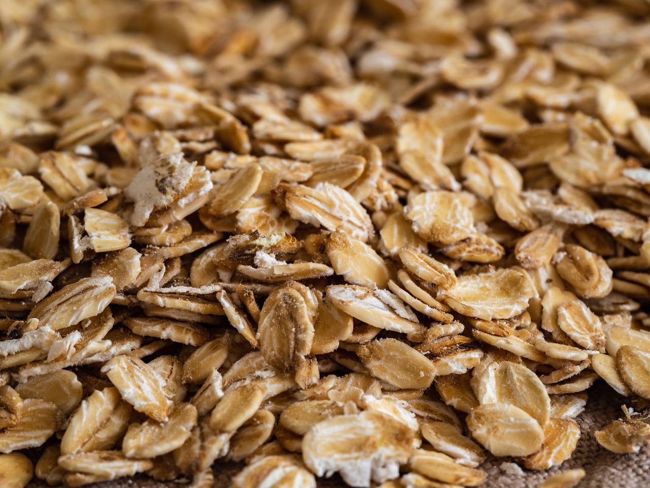 Is Oatmeal a High Protein Food? Discover the Nutritional Truth!