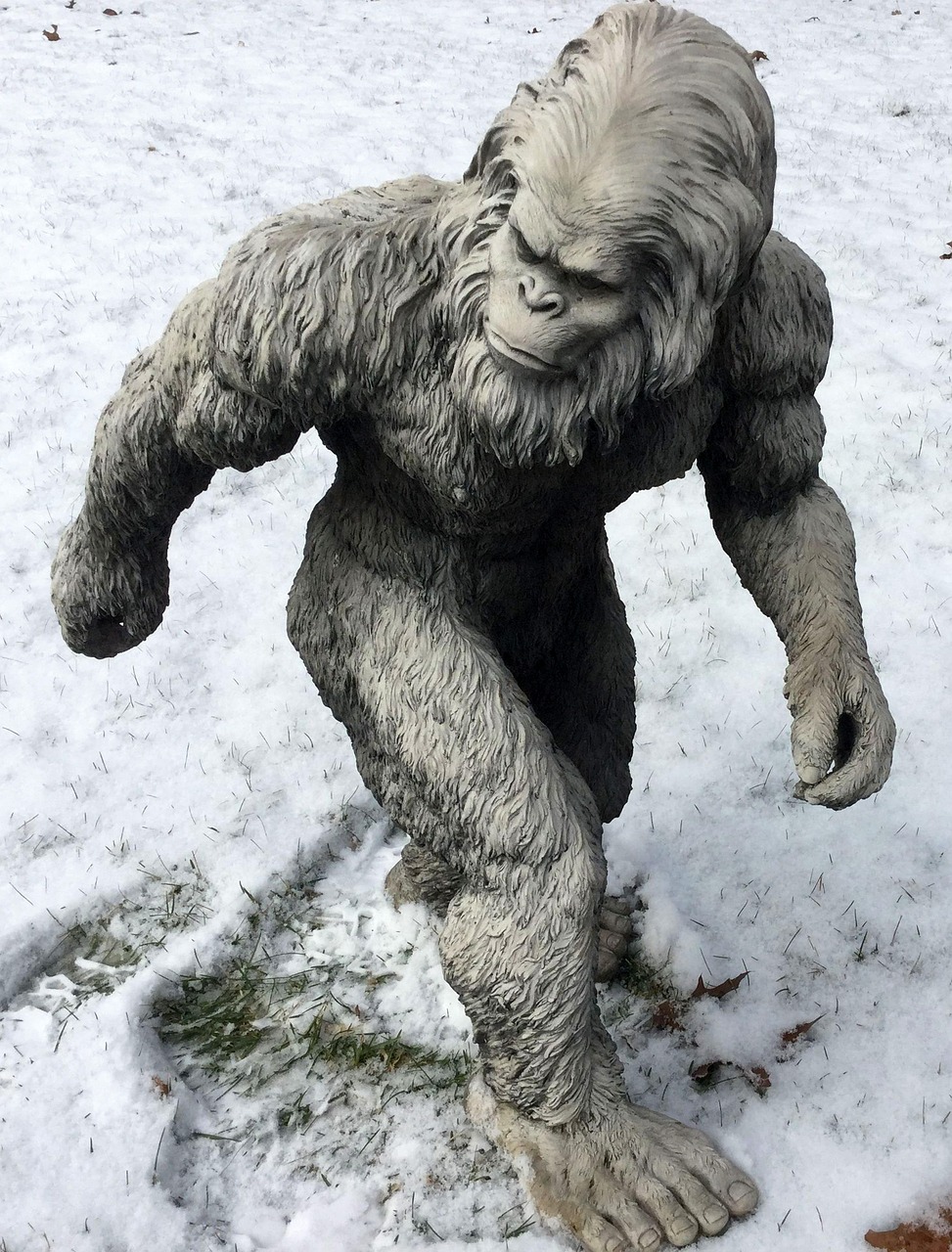 Hilarious Verbla Joke About Bigfoot That Everyone Will Love