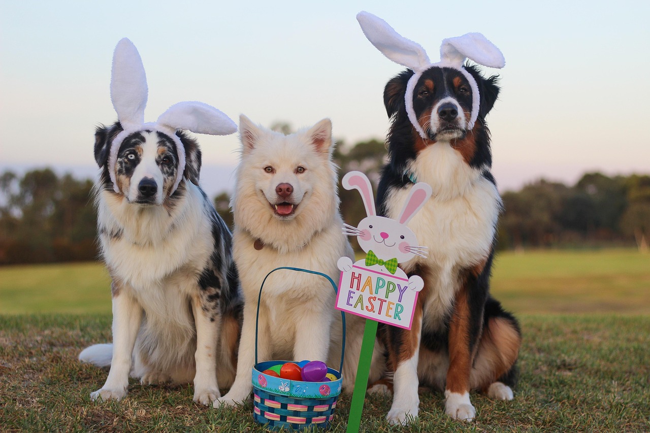 Easter Jokes Funny: Laugh Your Way Through the Holiday!