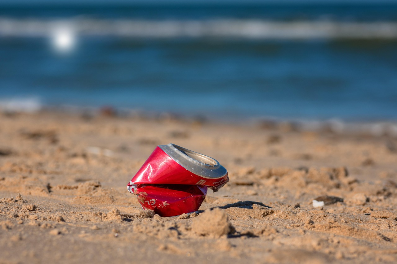 How Can You Reduce Plastic Pollution in Your Daily Lifestyle?