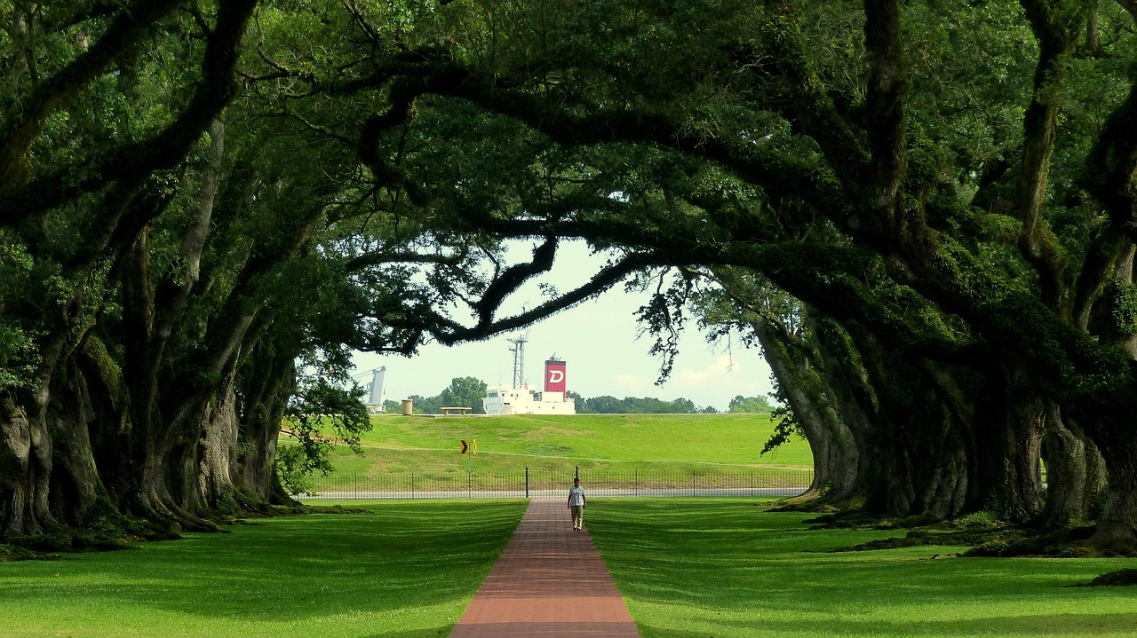 Discover Exciting Louisiana Lifestyle Facts You Should Know