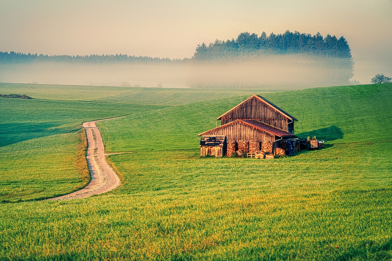 Embrace the Homestead Lifestyle: A Path to Self-Sufficiency and Sustainability