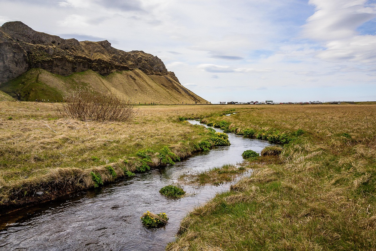 Exploring the Tundra Lifestyle: A Unique Perspective