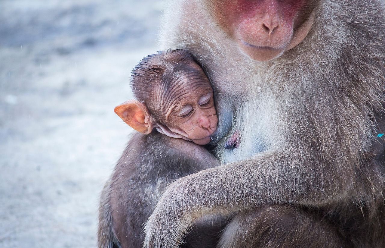 Heartfelt Lyrics for Mother's Day to Celebrate Your Love