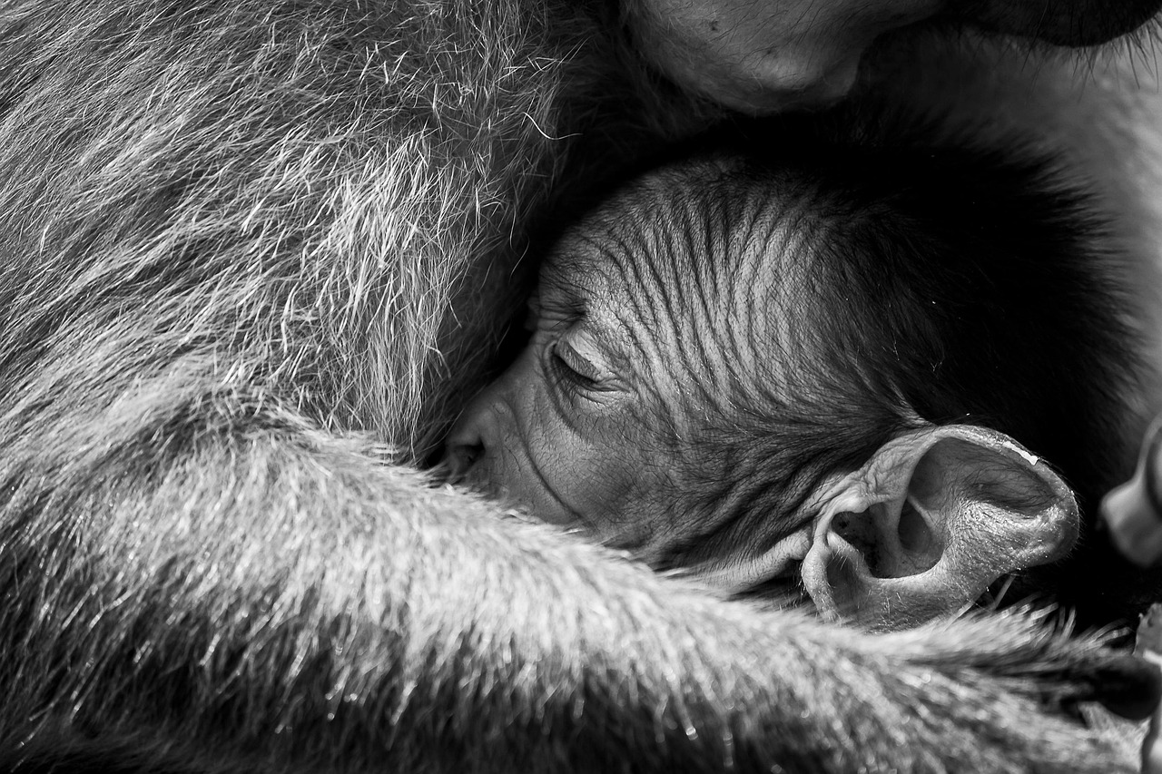 Stunning Happy Mother's Day Pictures to Celebrate and Cherish