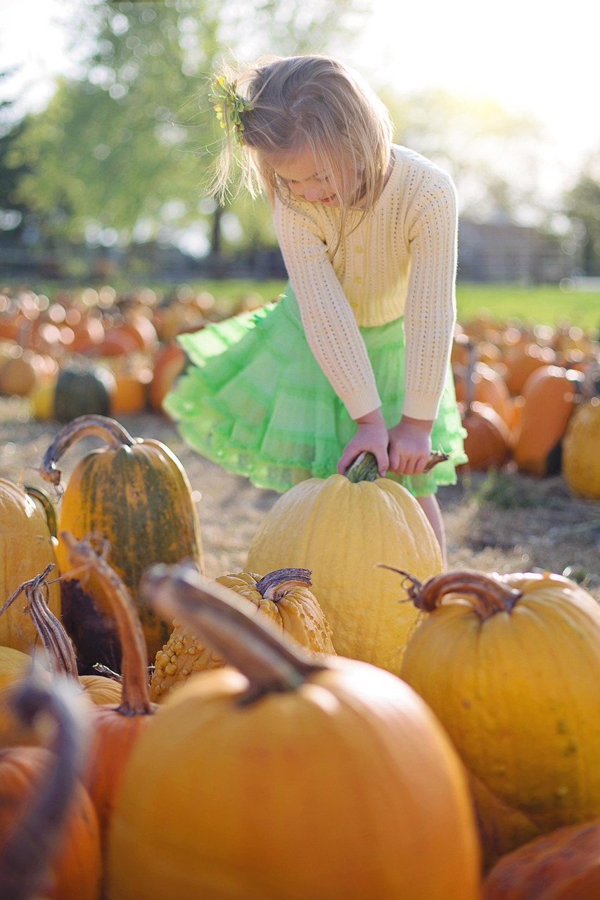 Cute Halloween Pumpkin Carving Ideas: Fun and Creative Designs