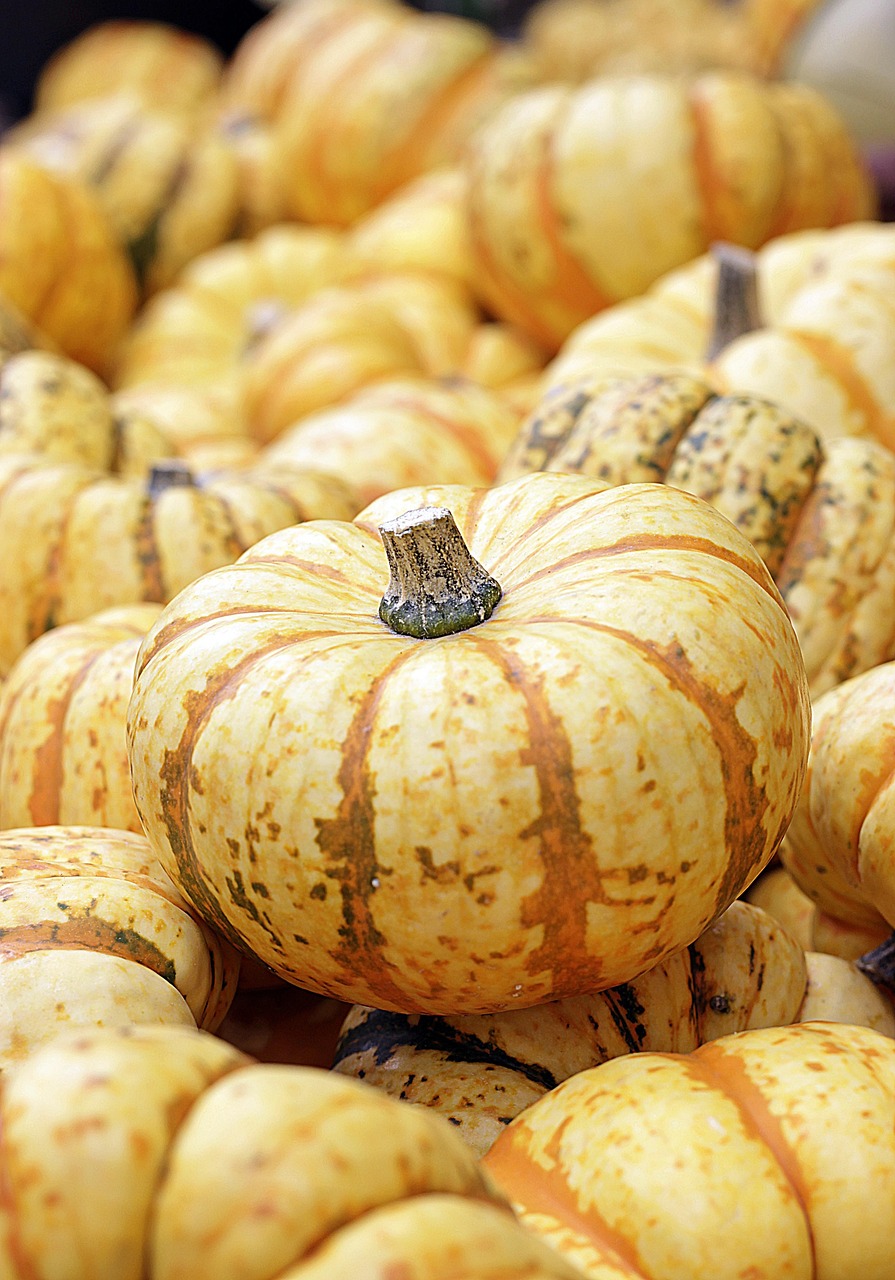 Unique Easy Pumpkin Carving Ideas for a Spooktacular Halloween