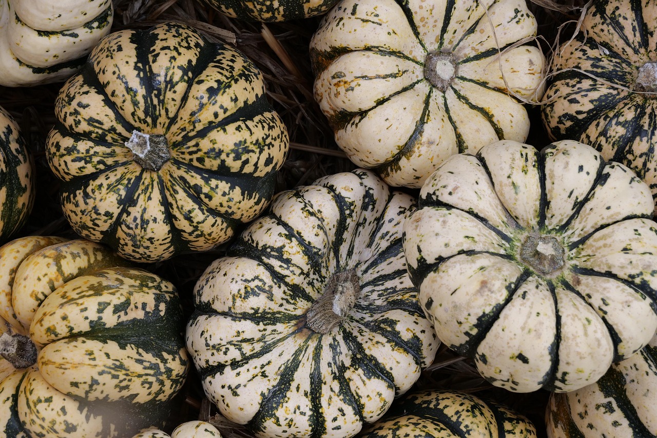 Creative Carved Pumpkin Ideas for an Exciting Halloween