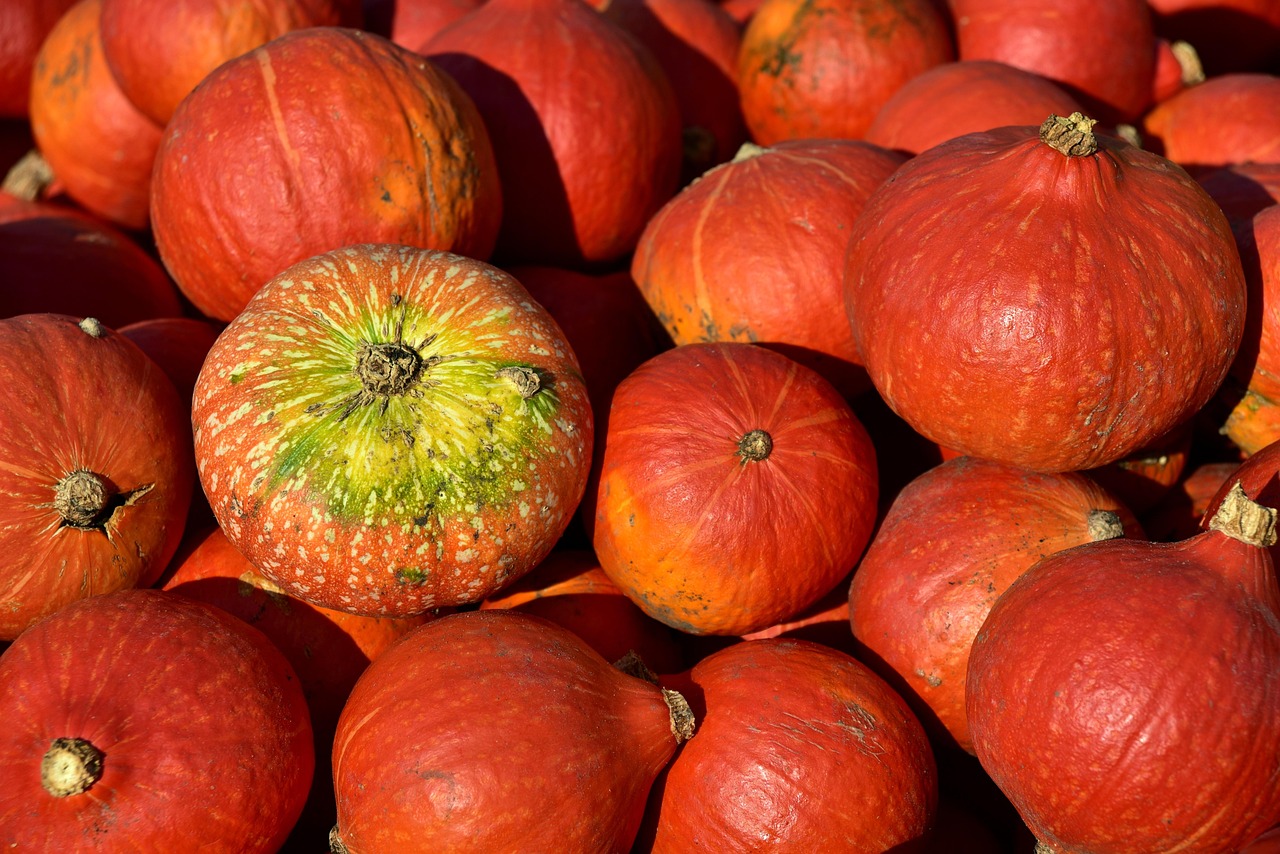 Creative Ideas for Carving Pumpkins: Make Halloween Unique