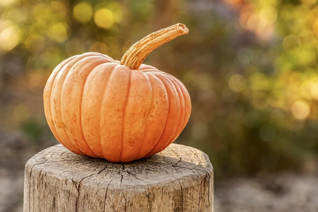 Creative Carving Ideas for Pumpkin Masterpieces