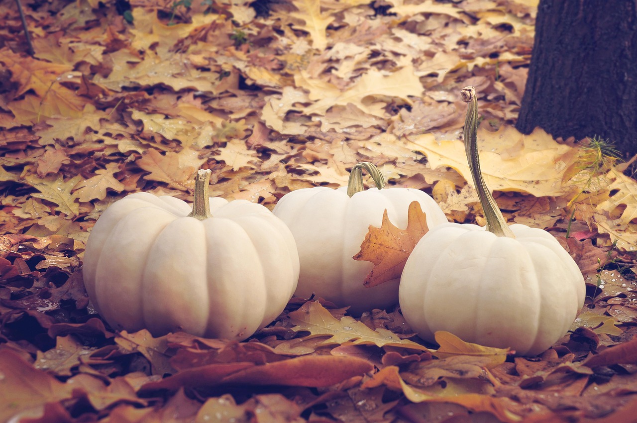 Cool Easy Pumpkin Carving Ideas for a Spooktacular Halloween