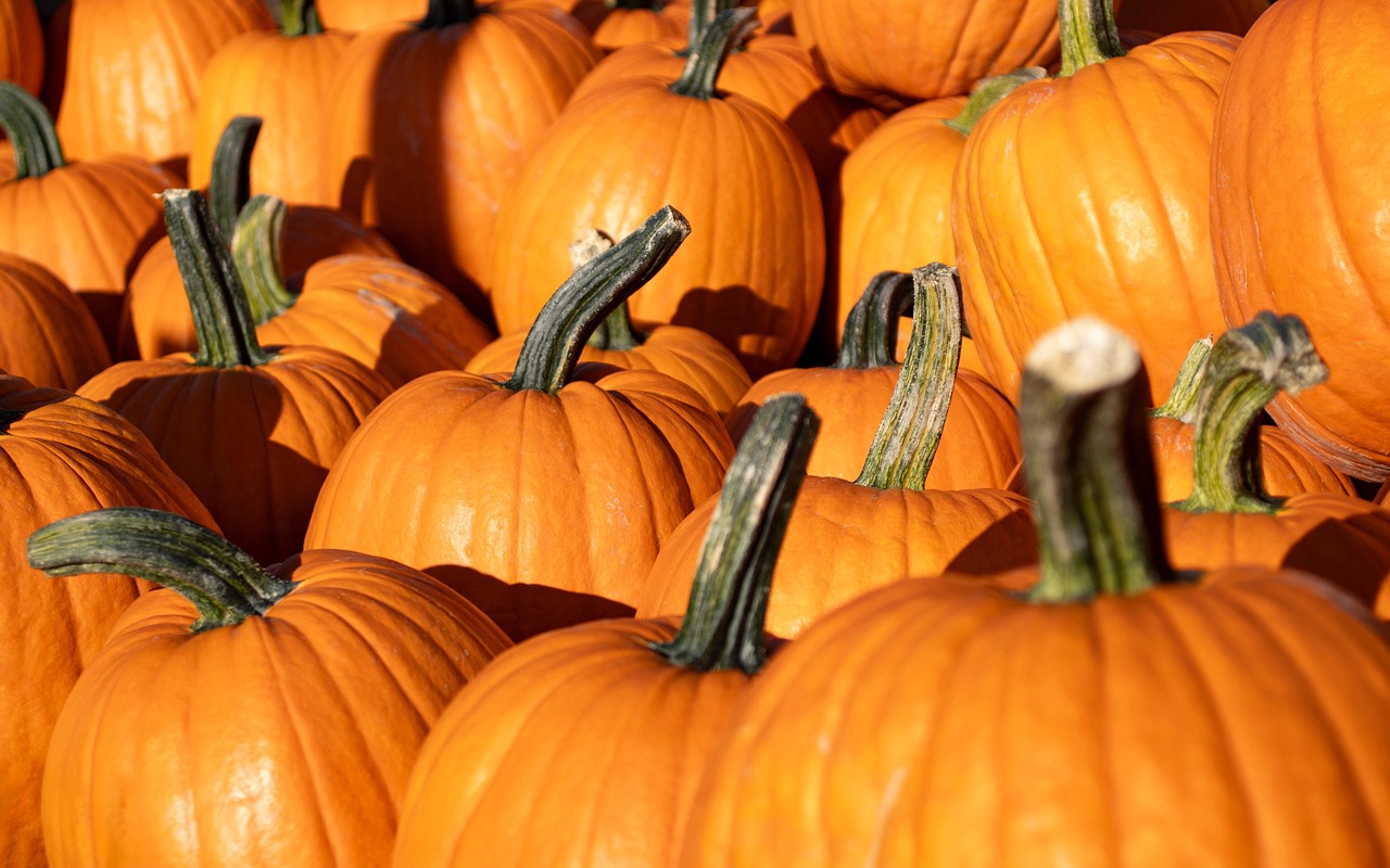 Fun Halloween Pumpkin-Carving Ideas to Impress This October