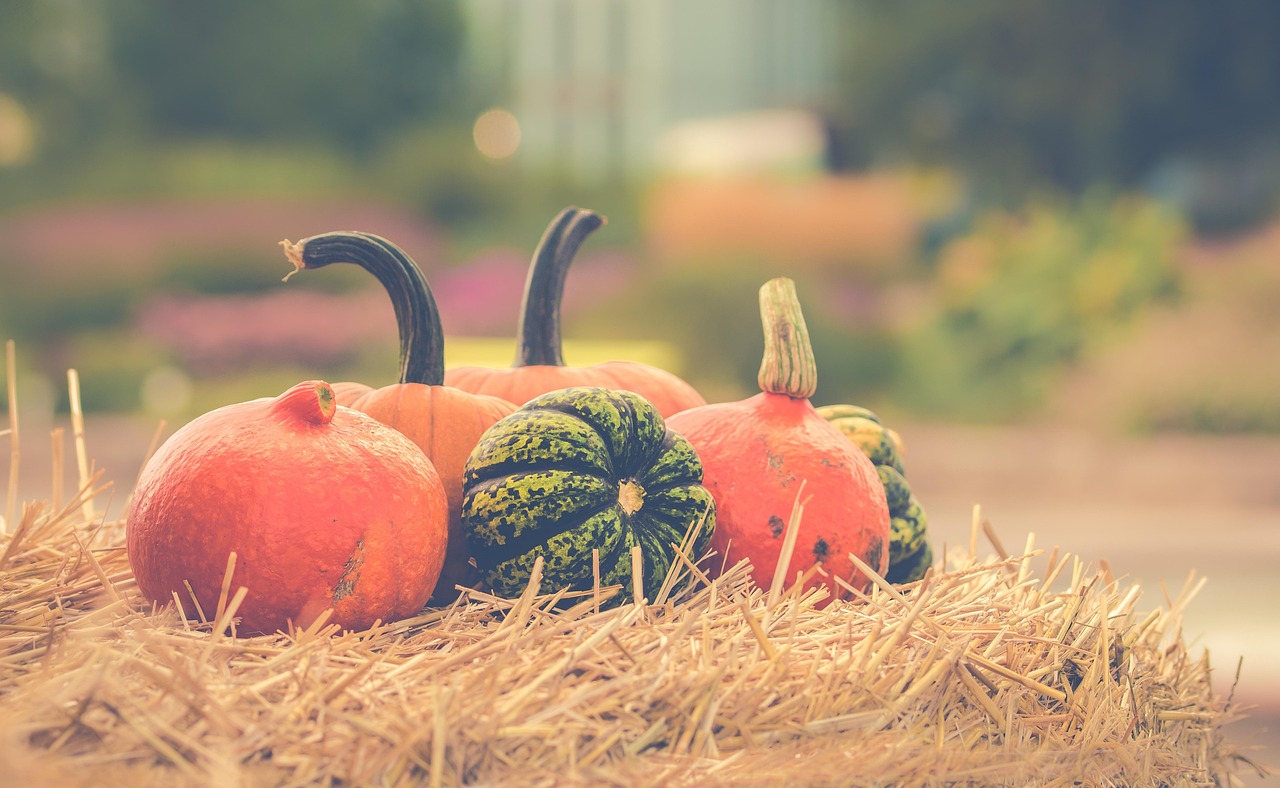 Cool Simple Pumpkin Carving Ideas for Halloween Fun