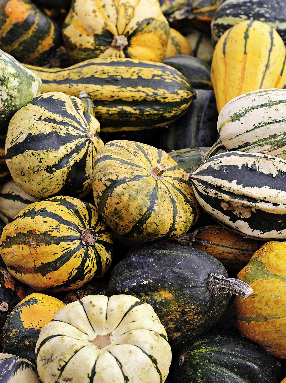 Creative Ideas for Pumpkins Without Carving: Fun and Festive Alternatives!