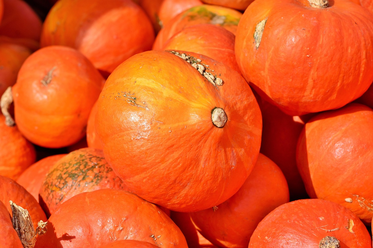 Creative Carving Scary Pumpkins Ideas for Halloween Fun