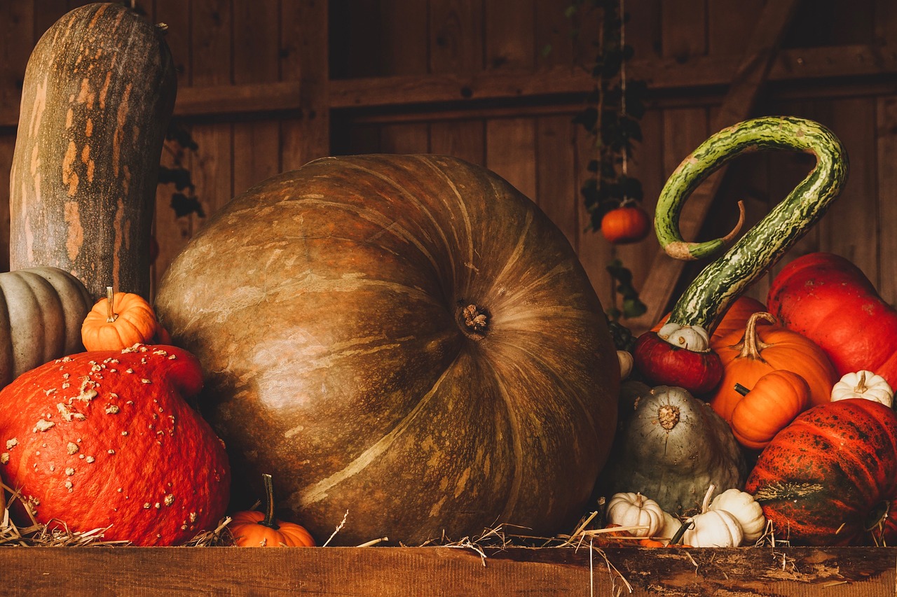 Best Carved Pumpkin Ideas for an Amazing Halloween