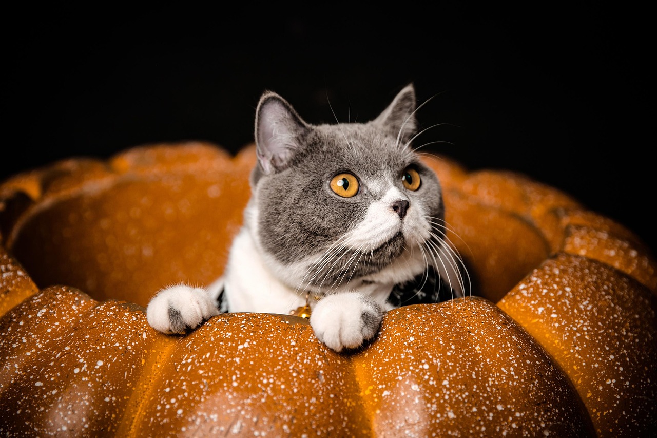 Spooktacular Ghost Pumpkin Carving Ideas for Halloween Fun