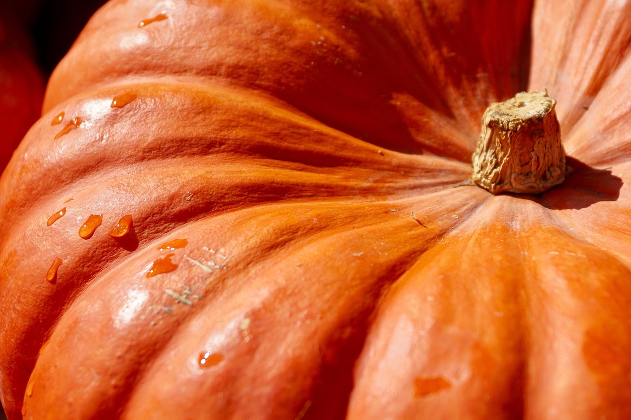 Creative Carve Pumpkin Ideas for a Spooktacular Halloween