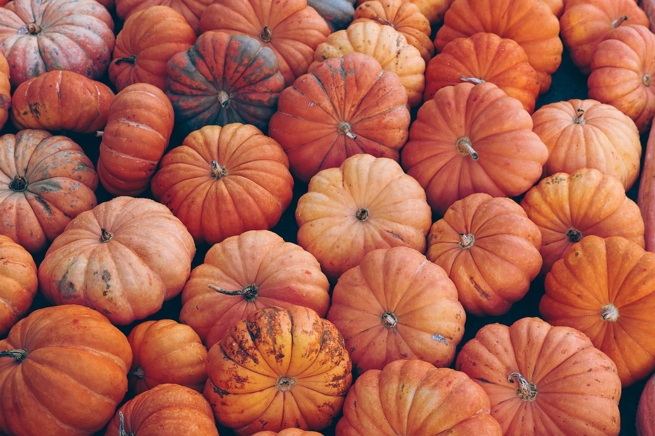 Creative White Pumpkin Carving Ideas for a Unique Autumn