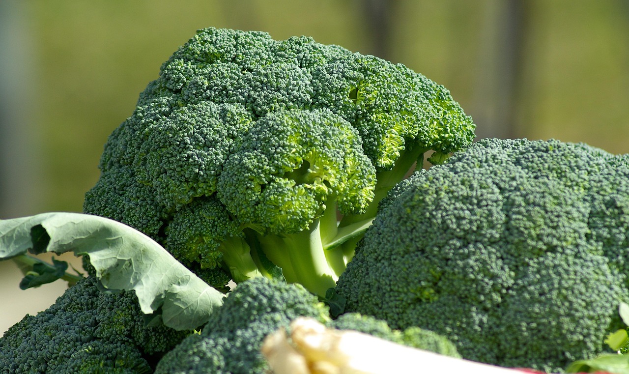 Delicious and Healthy Recipe for Broccoli: Easy & Nutritious Ideas