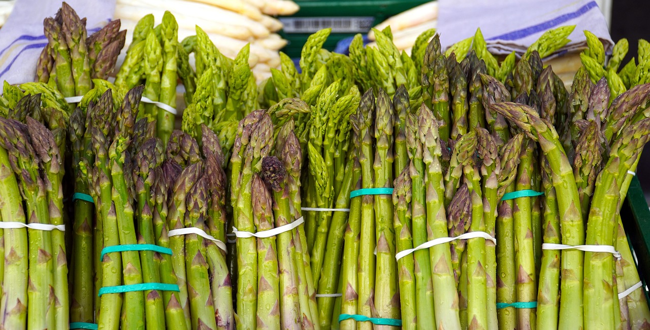 Delicious Asparagus Recipes for Every Occasion