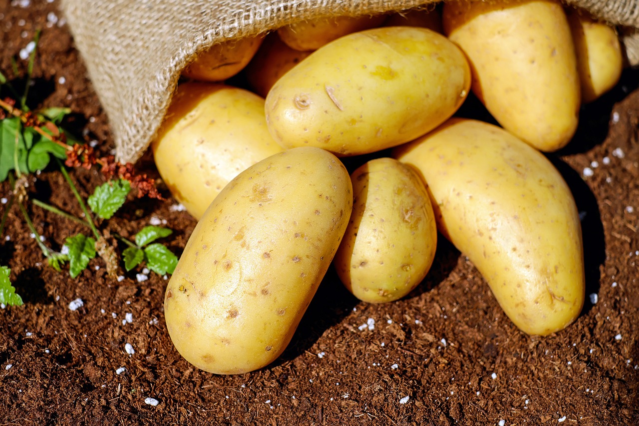 Ultimate Mashed Potatoes Recipe: Creamy, Flavorful & Easy