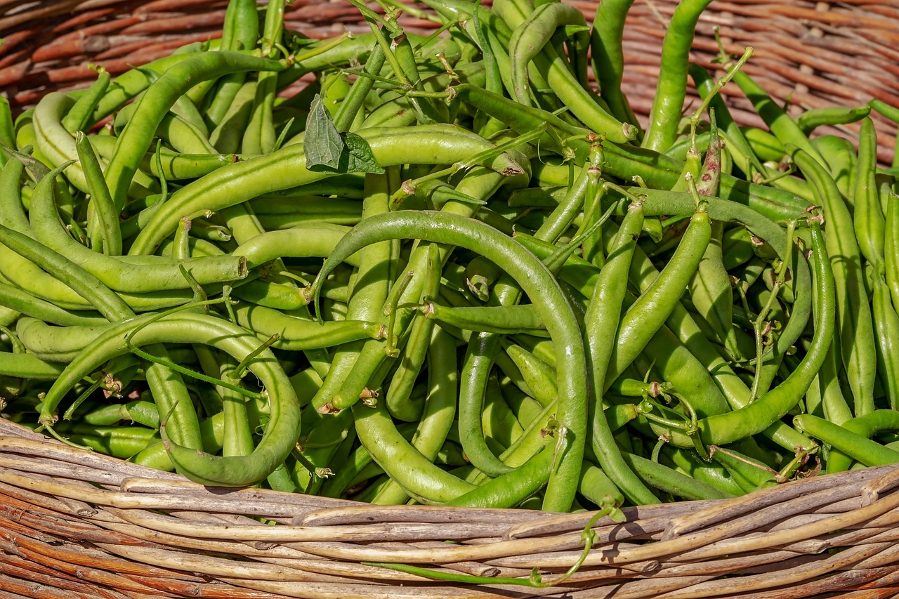 Healthy and Delicious Green Bean Recipe Ideas for Every Meal