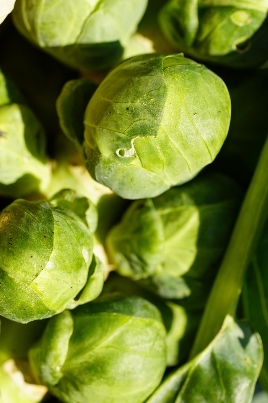 A Delicious Brussel Sprouts Recipe: Easy and Flavorful