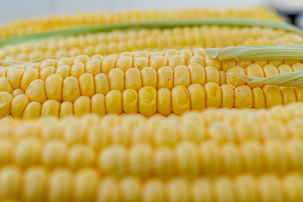 Quick and Easy Recipe Corn Pudding Jiffy