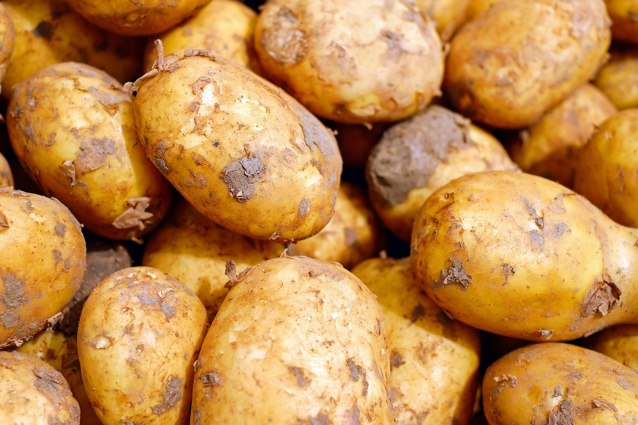 Delicious Smashed Potatoes Recipe: Easy & Flavorful