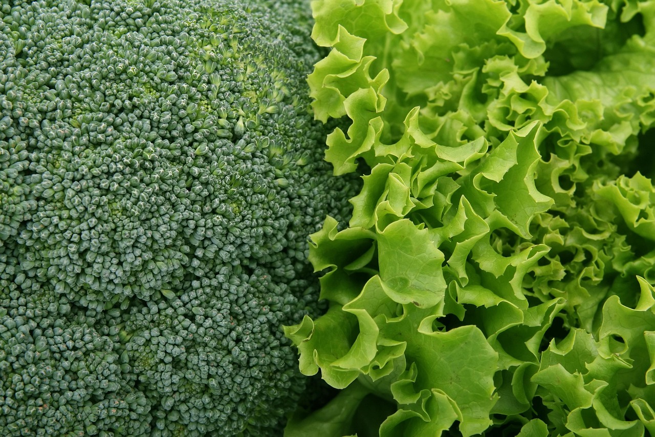 Delicious and Simple Roasted Broccoli Recipe for Healthy Eating