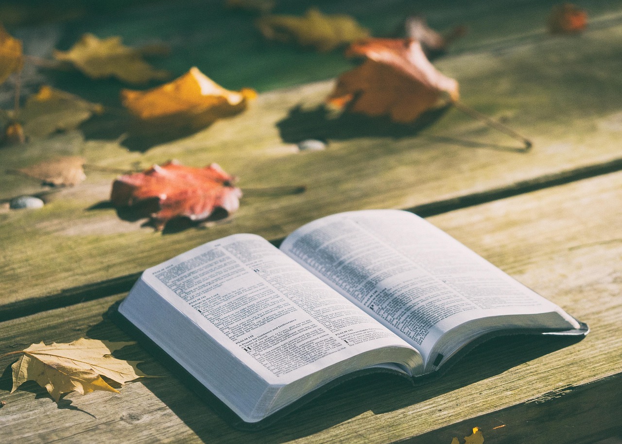 Happy Thanksgiving Bible: Celebrate Gratitude with Scripture