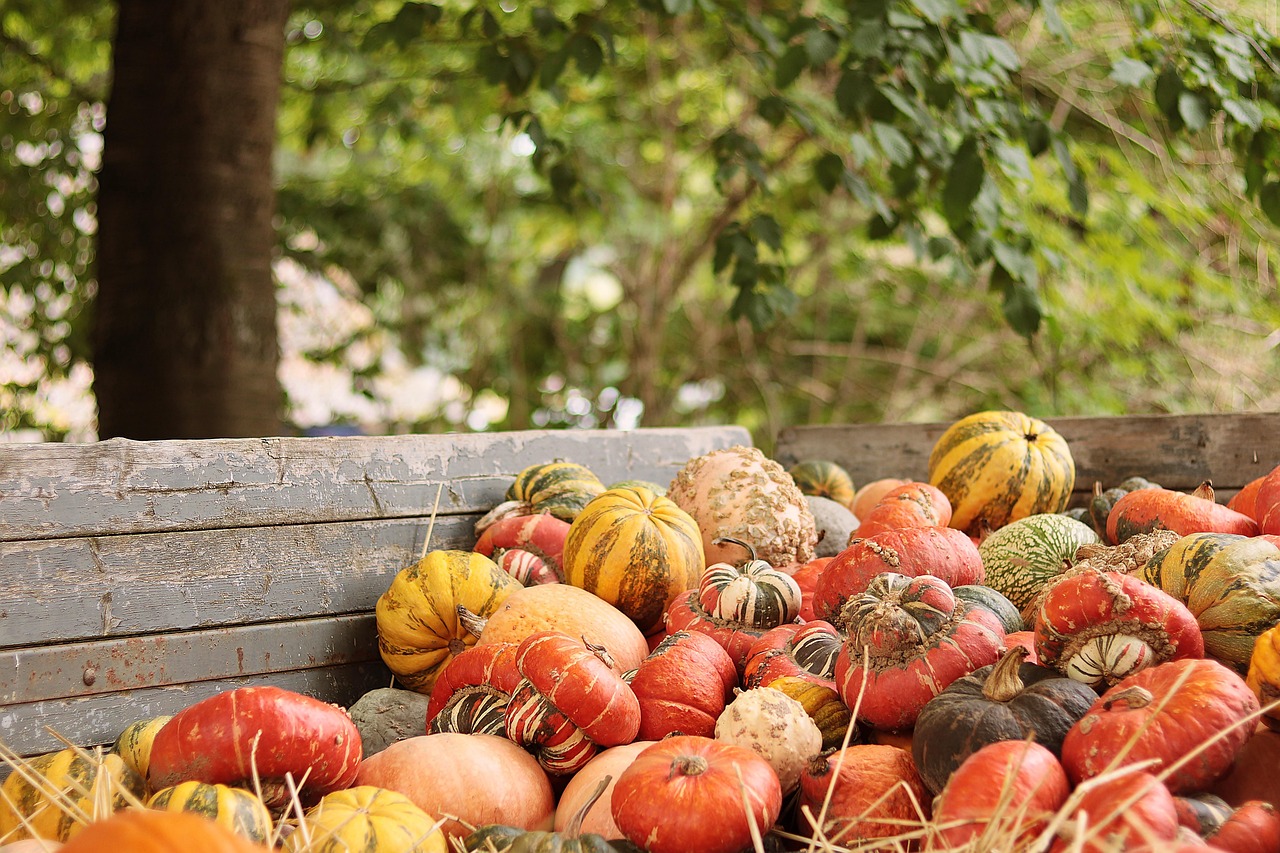 Enjoy a Happy Thanksgiving with a Peaceful Family Celebration