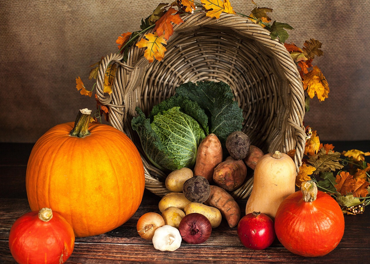 Happy Thanksgiving Holidays: Embrace Joyful Celebrations