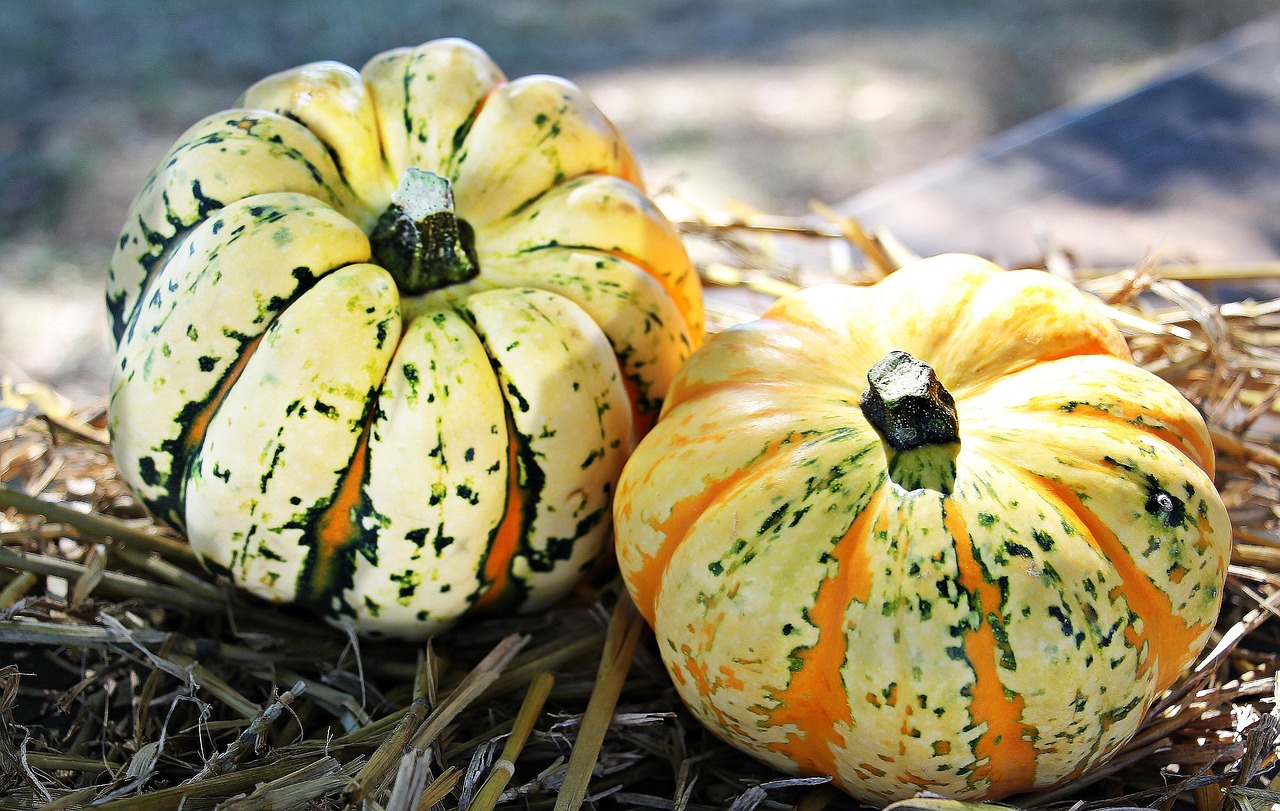 How to Make a Fancy Way to Write Happy Thanksgiving: Creative Ideas