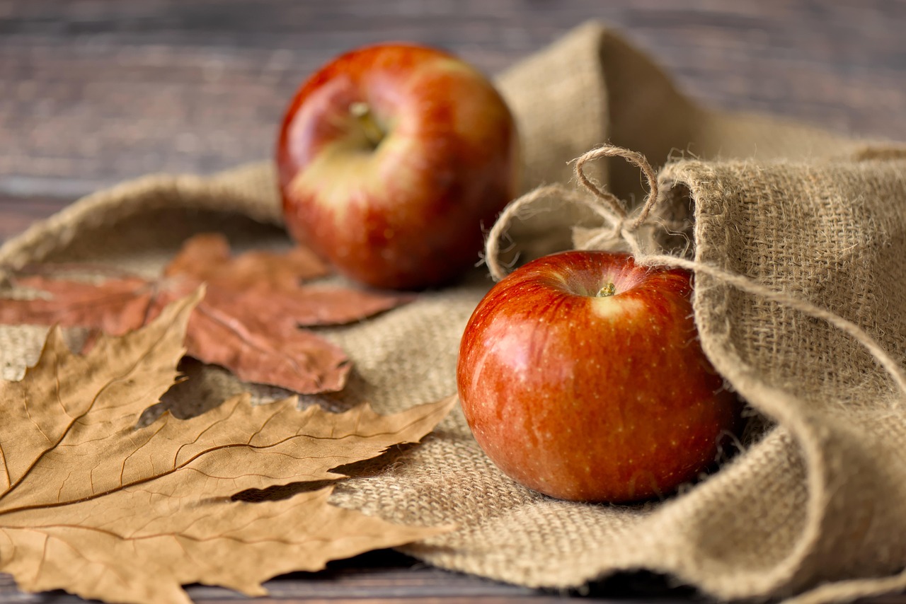 How to Say Happy Thanksgiving in French: A Complete Guide