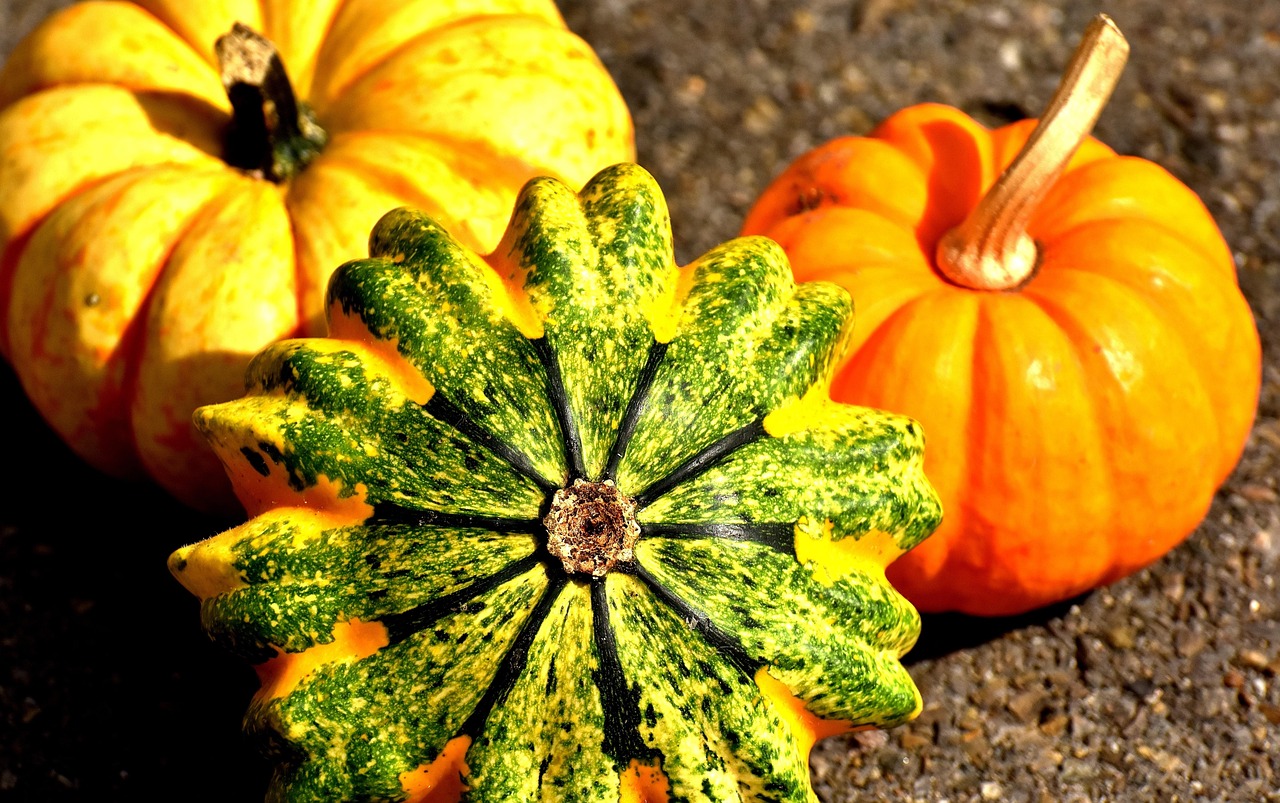 Happy Thanksgiving Beach: Celebrate in Style by the Sea