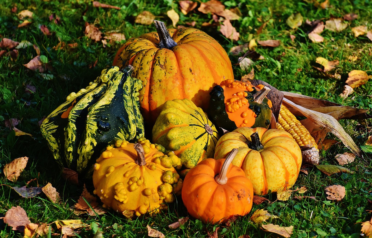 Happy Thanksgiving Sister: Celebrating the Bond of Sisterhood