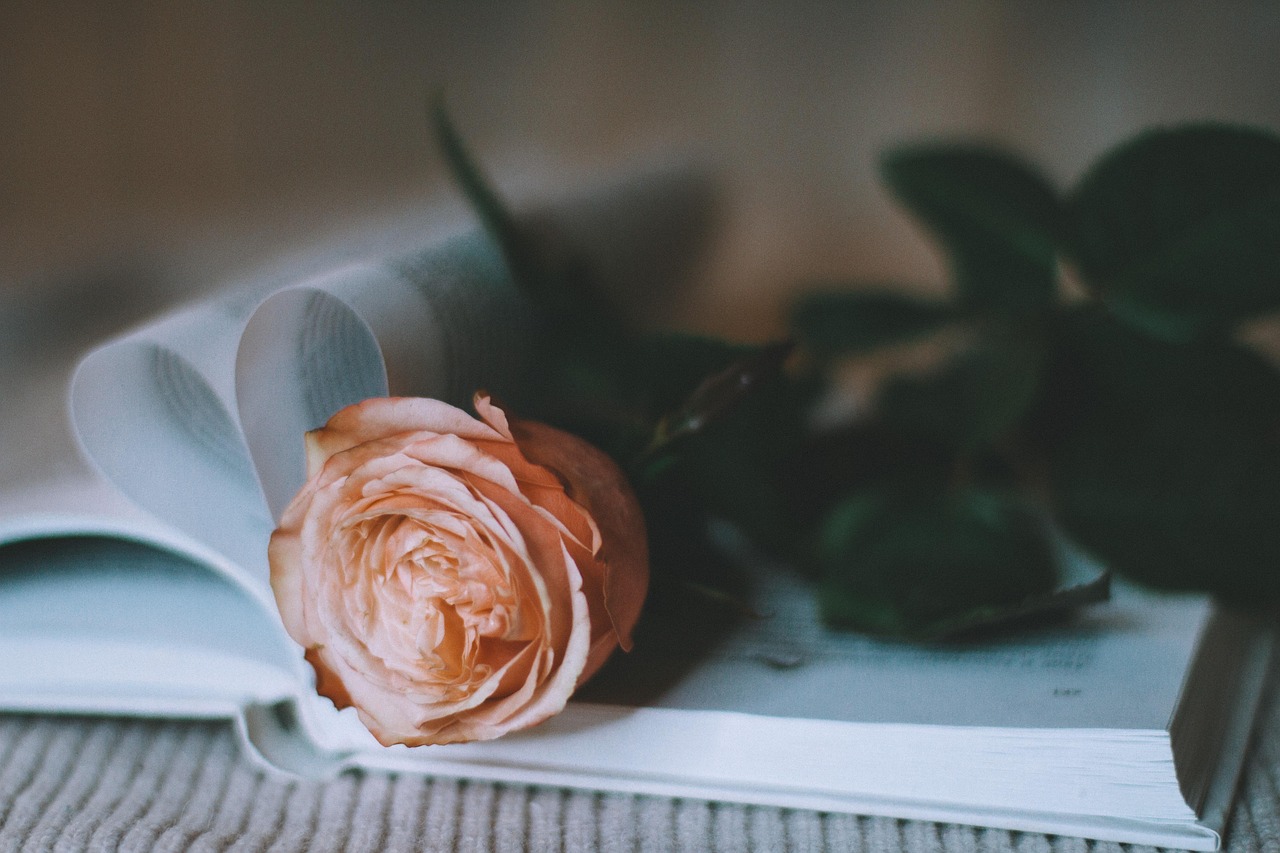 Beautiful Valentine's Day Bouquets of Flowers to Celebrate Love